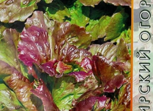 Салат «Андромеда»